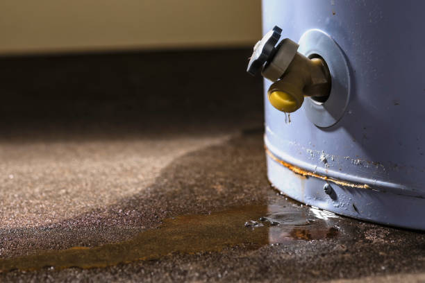 Best Fire Damage Restoration  in Nellieburg, MS