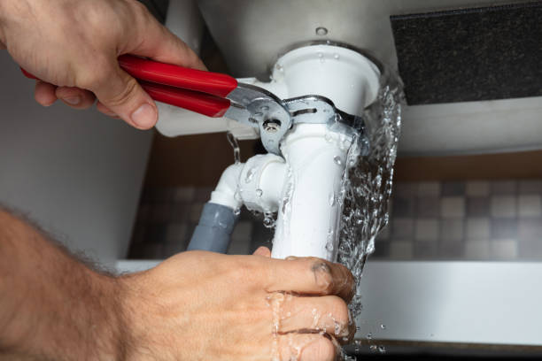 Best 24-hour water damage restoration  in Nellieburg, MS