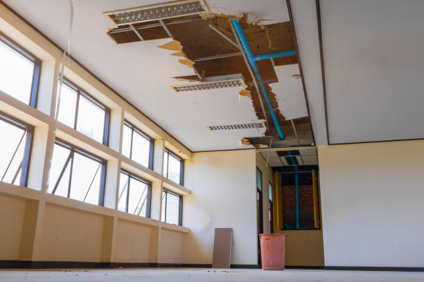 Best Water damage cleanup near me  in Nellieburg, MS
