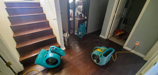 Carpet water damage restoration in MS