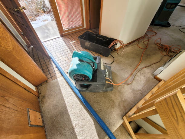 Trusted MS Water damage restoration Experts
