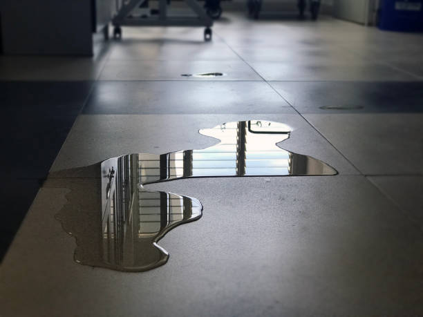 Best Water damage restoration services  in Nellieburg, MS