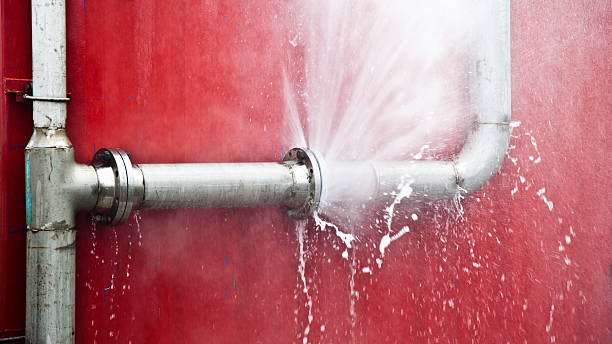 Best Flooded house restoration  in Nellieburg, MS
