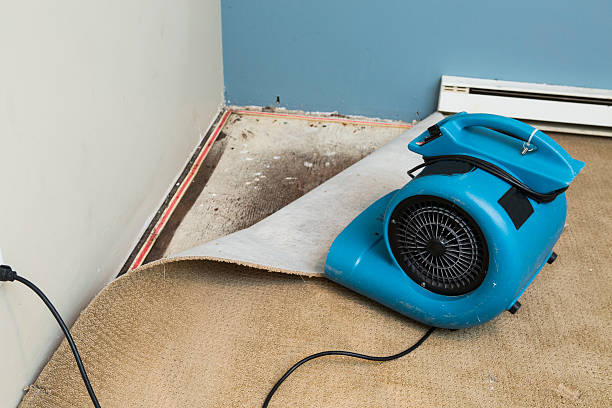 Local water damage restoration in MS